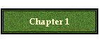 Chapter 1